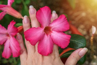 Similar image 21951306