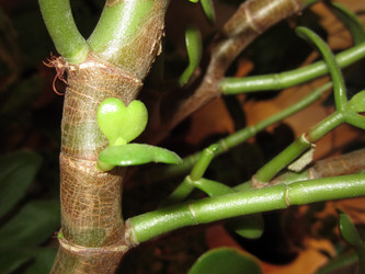 Similar image 21969347