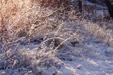 Similar image 21951307