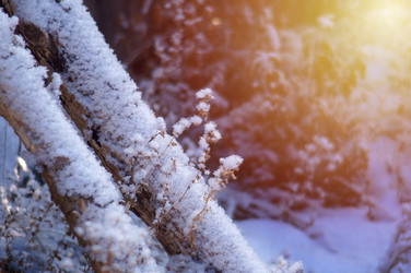 Similar image 21951308