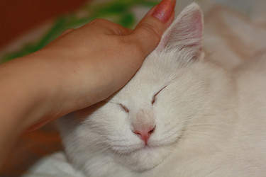 Similar image 21969351