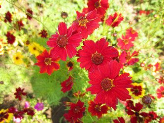 Similar image 21969352