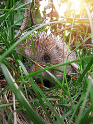 Similar image 21951311