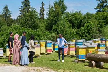 Similar image 21950338