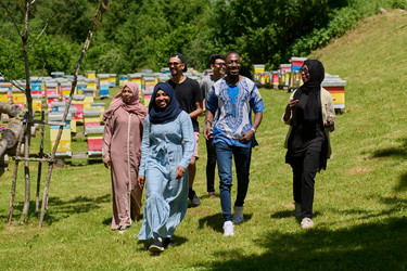 Similar image 21951011