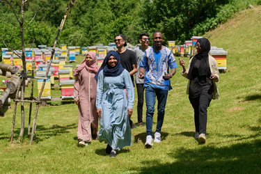 Similar image 21968855