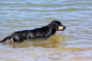 Similar image 21976120