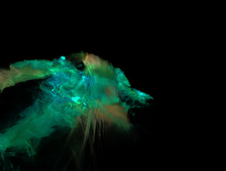 Similar image 21968210