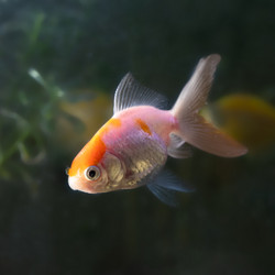 Similar image 21969965