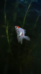 Similar image 21969968