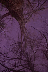 Similar image 21950683