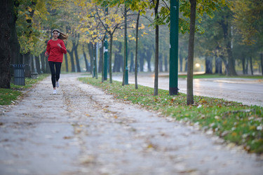 Similar image 21966271