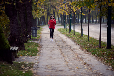 Similar image 21951096