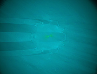 Similar image 21968212