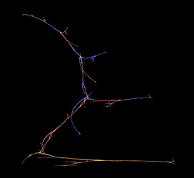 Similar image 21962418