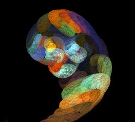 Similar image 21964310