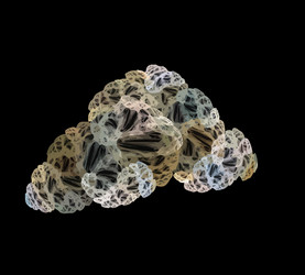 Similar image 21964070