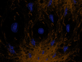 Similar image 21967724