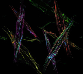 Similar image 21961463