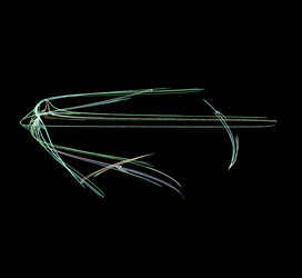 Similar image 21964091