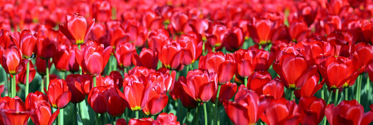 Similar image 21964107