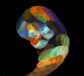 Similar image 21961273