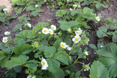 Similar image 21970647