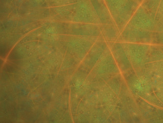 Similar image 21967779