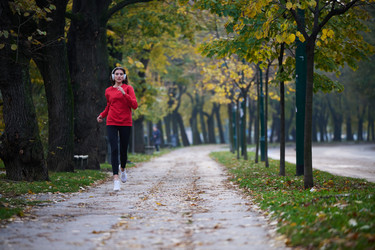 Similar image 21966398