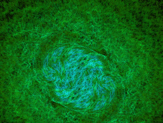 Similar image 21967542