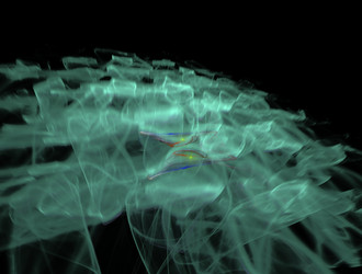 Similar image 21967565