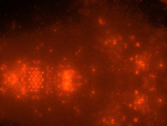 Similar image 21968249