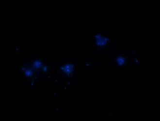 Similar image 21968269