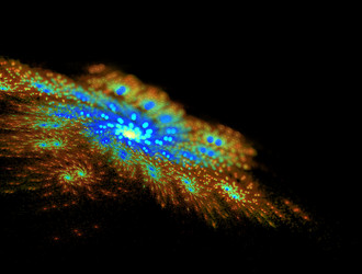 Similar image 21967971