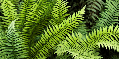 Similar image 21969969