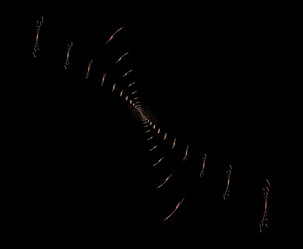 Similar image 21964846