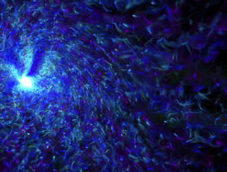 Similar image 21967988