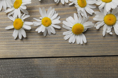 Similar image 21970653