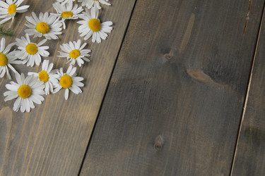 Similar image 21970654