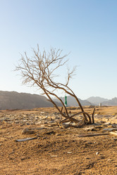 Similar image 21964921