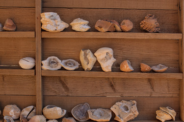 Similar image 21964926