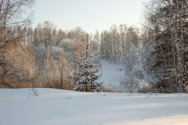 Similar image 21964928