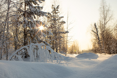 Similar image 21964931