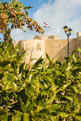 Similar image 21952876