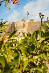 Similar image 21953044