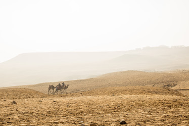 Similar image 21954440