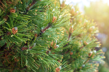 Similar image 21953211