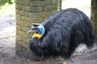 Similar image 21954447