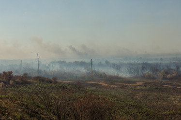 Similar image 21954449