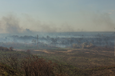 Similar image 21954450